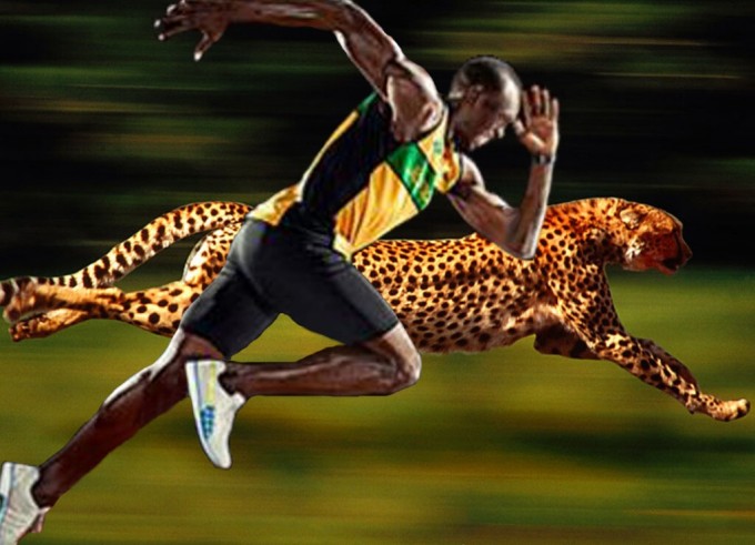 usain-bolt-trka-gepard-svetski-rekord-e1440689719568