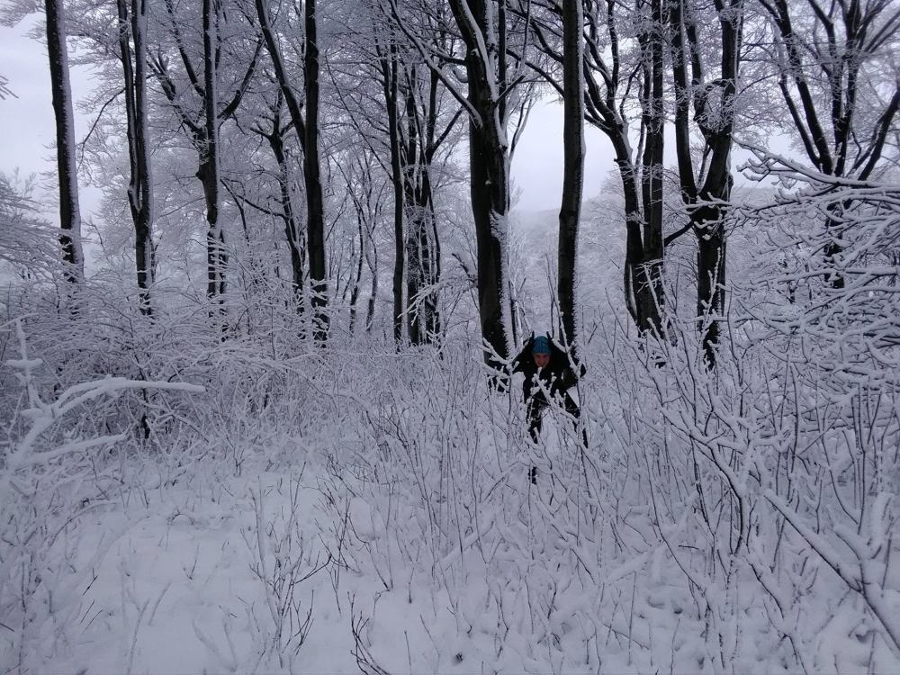 25358411_10213502836036531_4609296747973294705_o