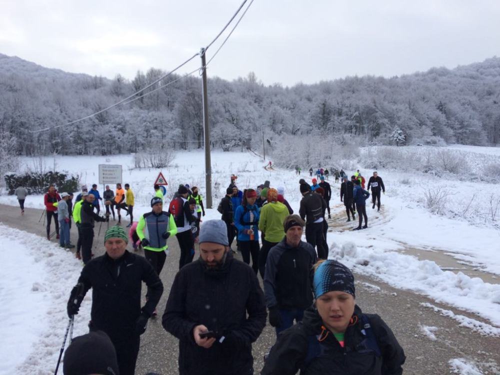 25467520_378361519251927_1125663040_o