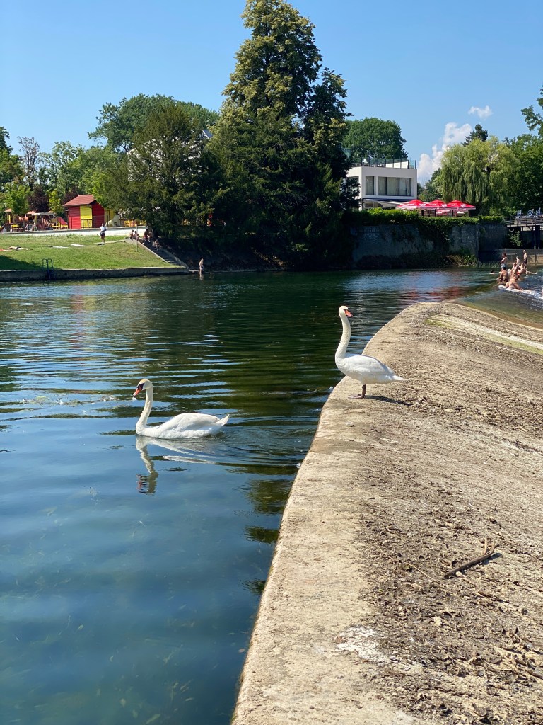 This image has an empty alt attribute; its file name is img_9722.jpg