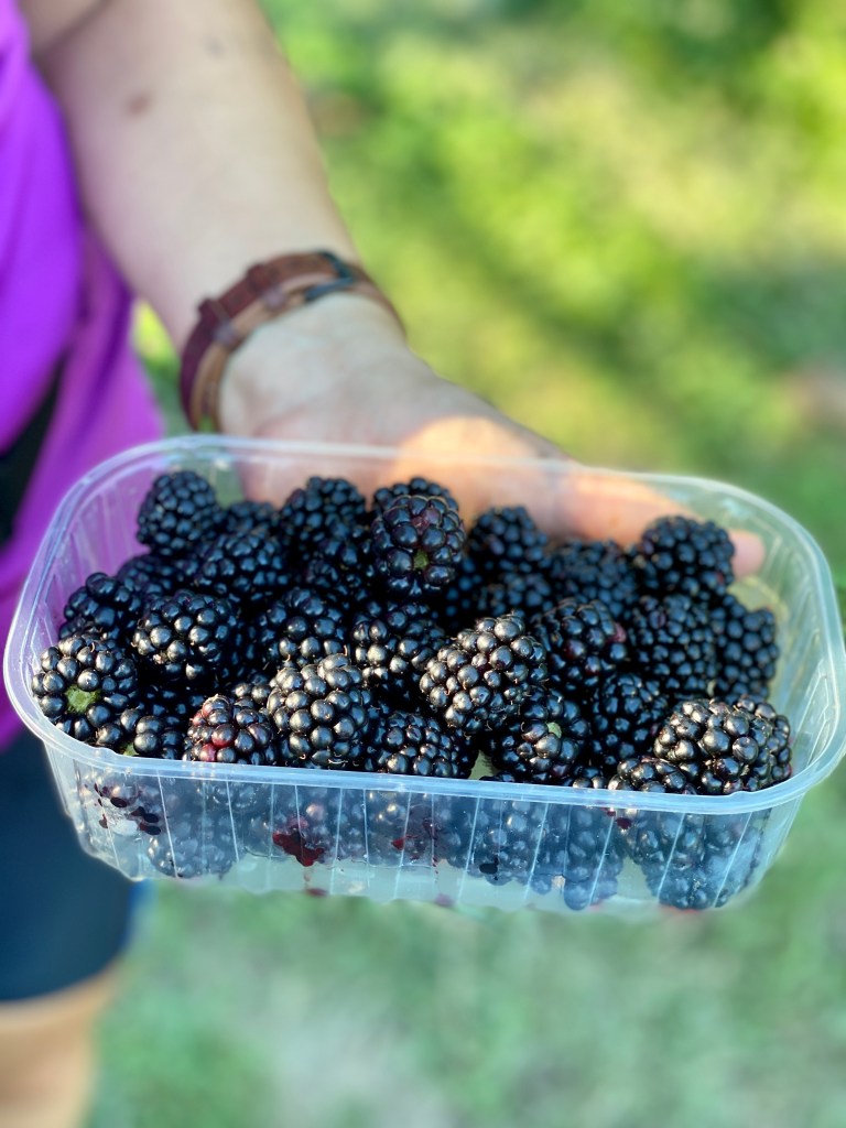 This image has an empty alt attribute; its file name is img_0024.jpg