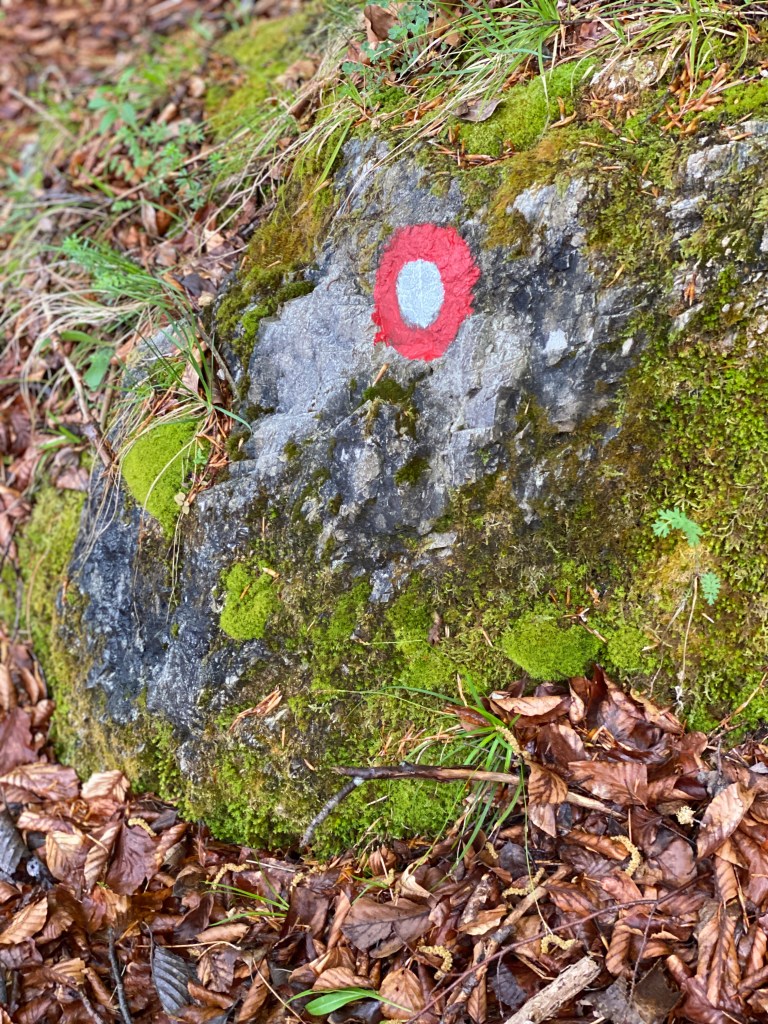 This image has an empty alt attribute; its file name is img_8882.jpg