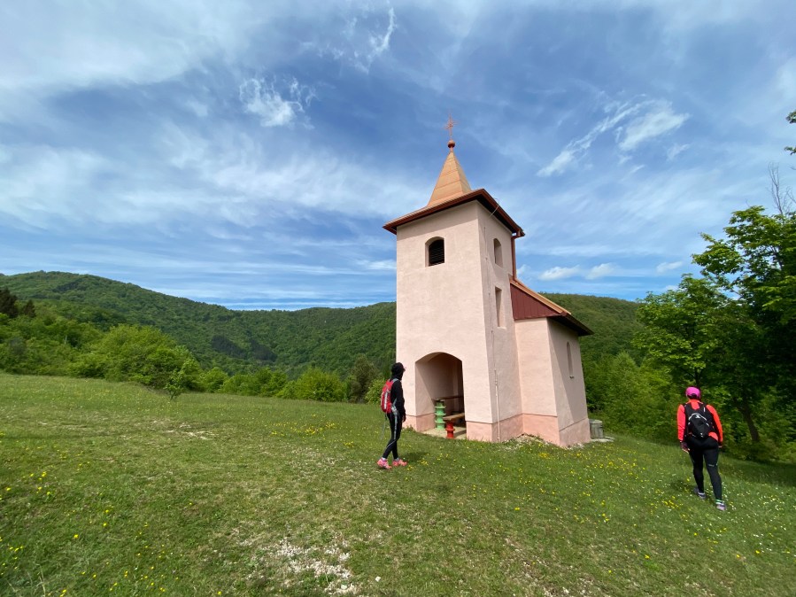 This image has an empty alt attribute; its file name is img_8917.jpg