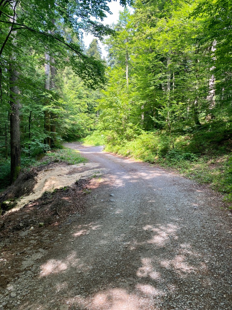 This image has an empty alt attribute; its file name is img_9824.jpg