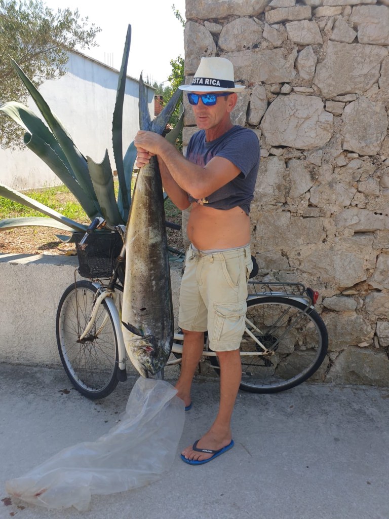 This image has an empty alt attribute; its file name is 30094201-6786-4de6-bf11-6ecede6bf521.jpg