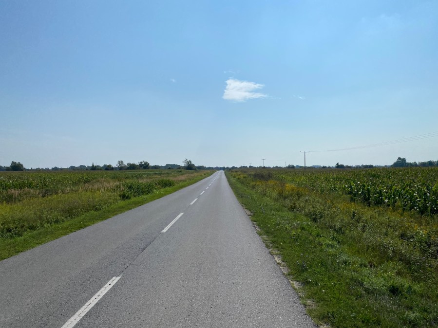 This image has an empty alt attribute; its file name is 4e04a71d-bfdf-4bc0-a32b-df6ef7839fb4-17519-00000d0c7539878f.jpg