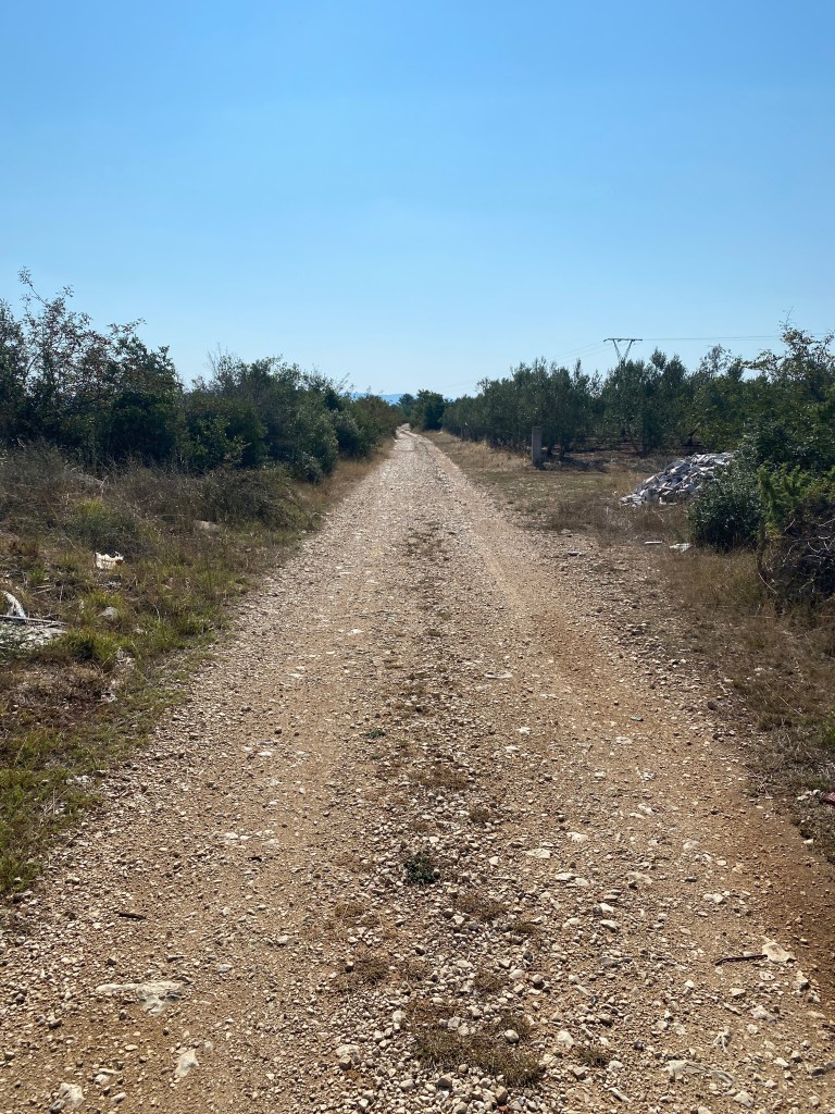 This image has an empty alt attribute; its file name is f168216a-bb43-43cf-a271-f11dd4e4dd0b-6139-00000485a7576cf4.jpg