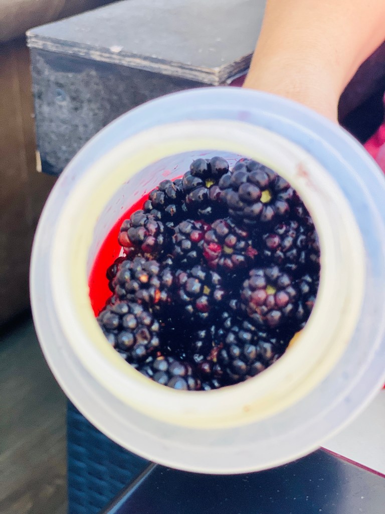 This image has an empty alt attribute; its file name is img_0085.jpg