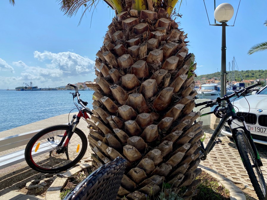 This image has an empty alt attribute; its file name is img_0149.jpg