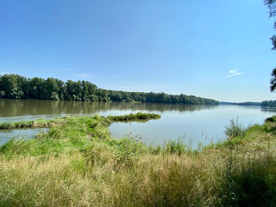 This image has an empty alt attribute; its file name is img_0381.jpg